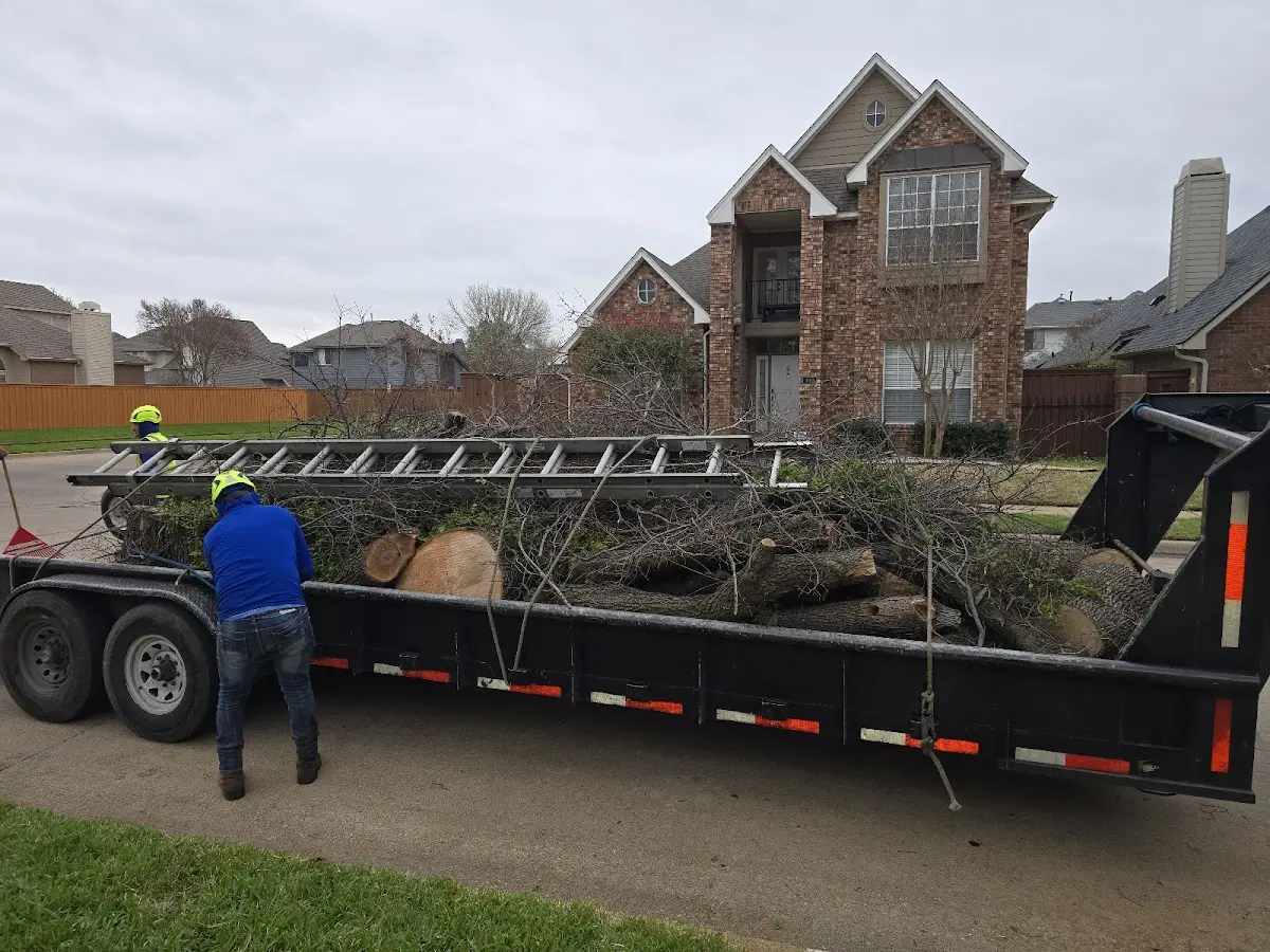 Expert Lot Clearing with proper safety equipment in Crystal Beach